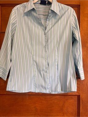 DC Missy Blue and Mint Striped Stretch Button-Up